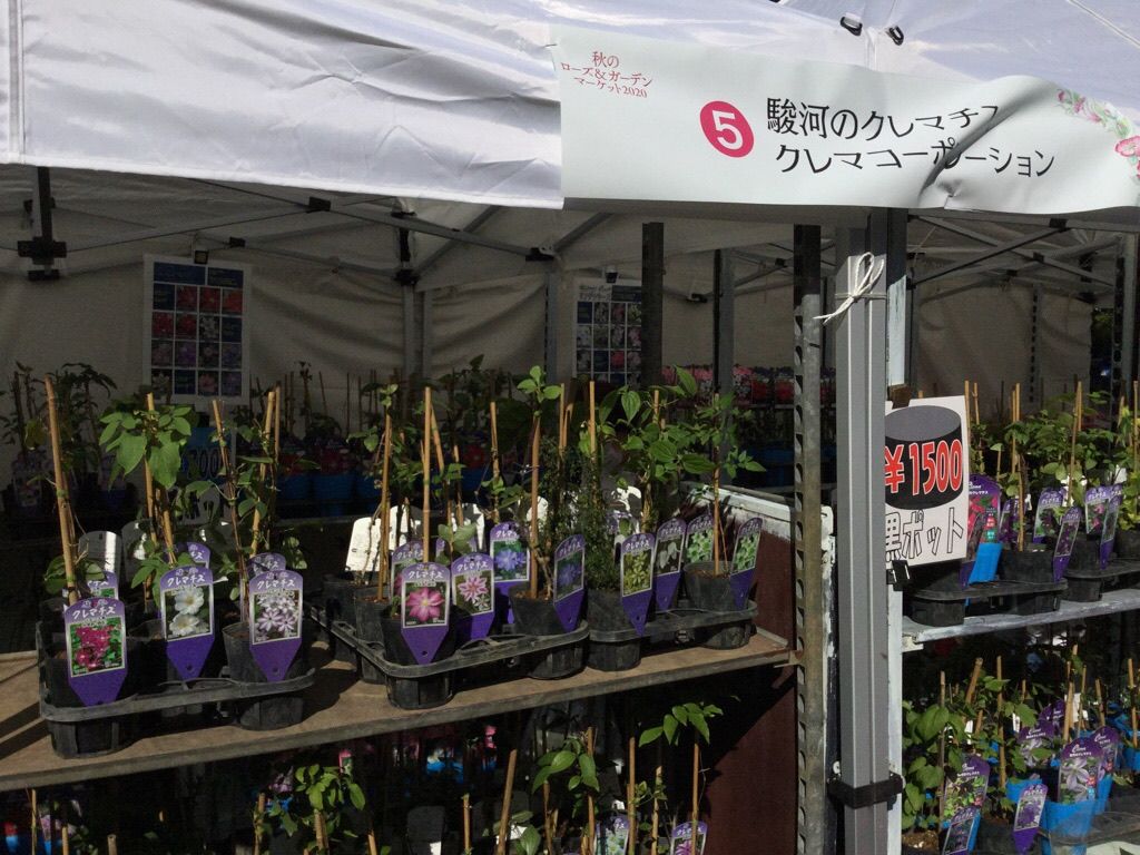 お花🌸のイベント(クレマチスも)