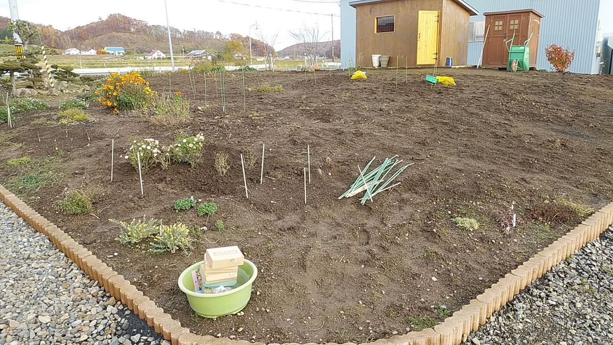 球根植え。再び。