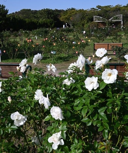 福岡・海の中道海浜公園