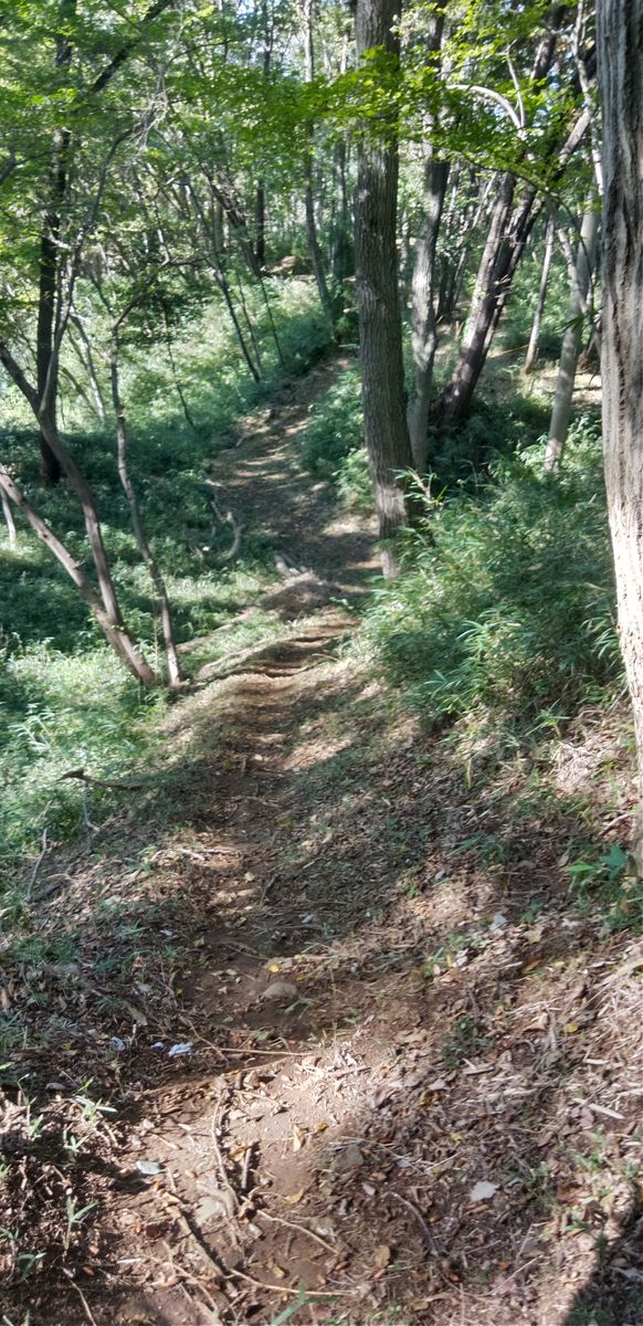 滝山城跡へお出かけ🤗