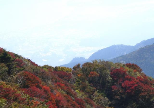 雲仙の紅葉