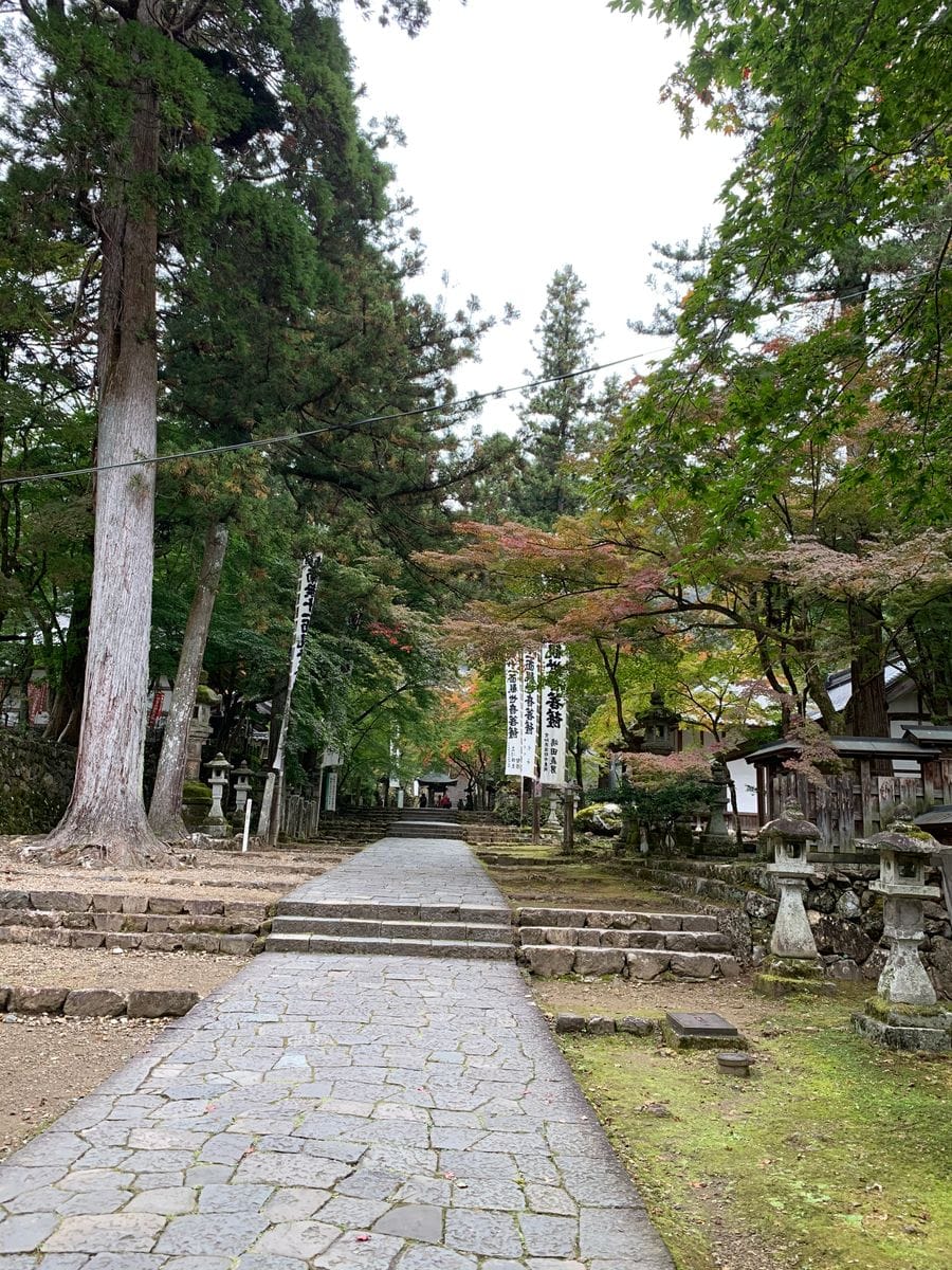 今日の谷汲山