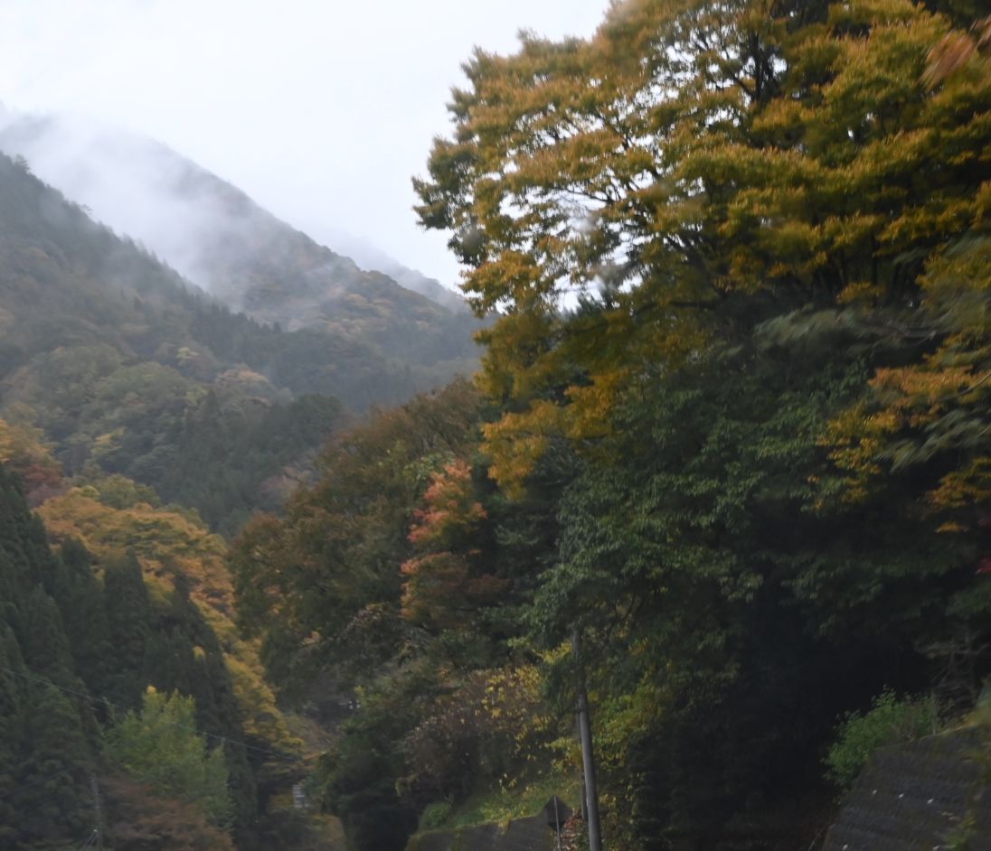 宮崎に来ています。