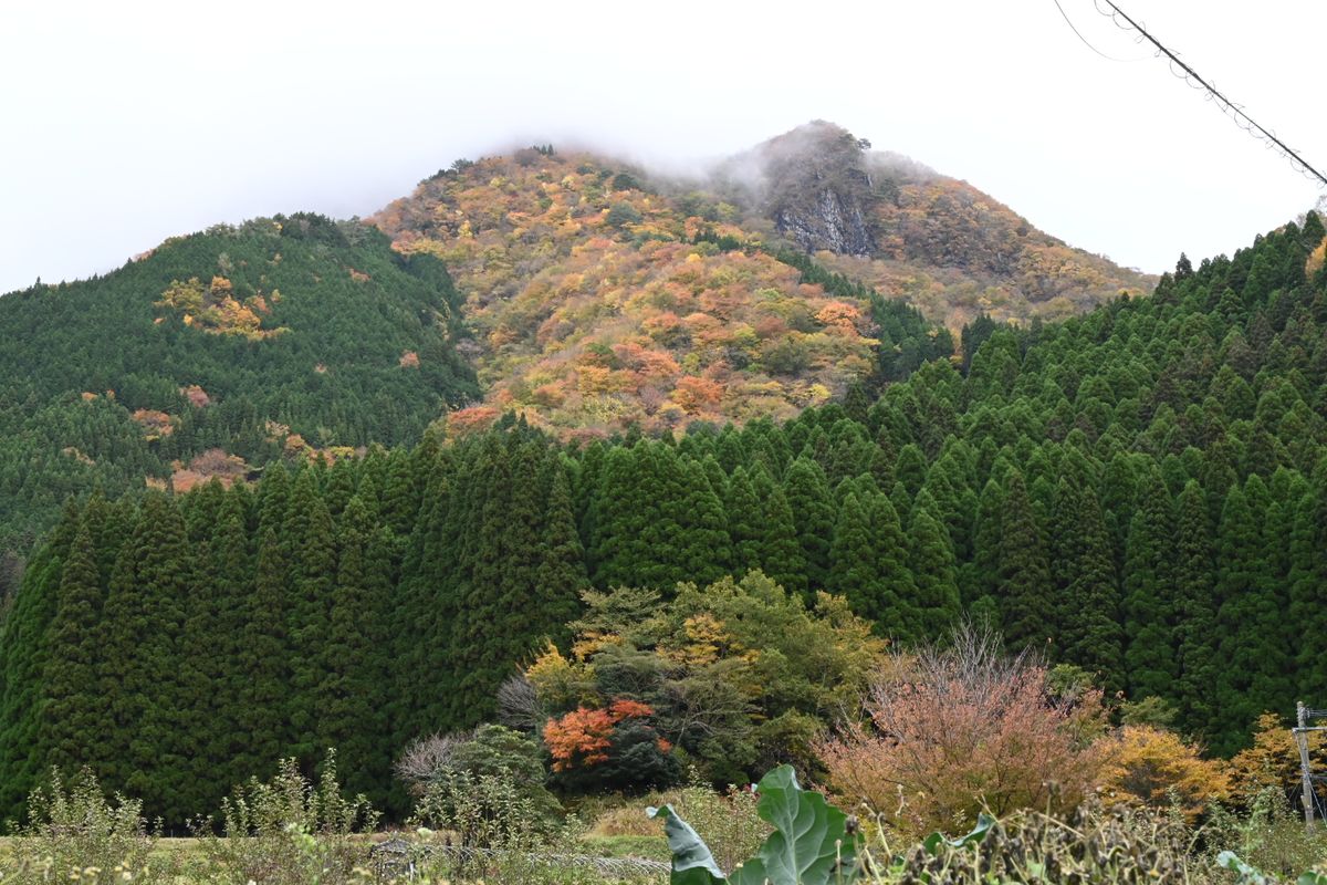 宮崎に来ています。