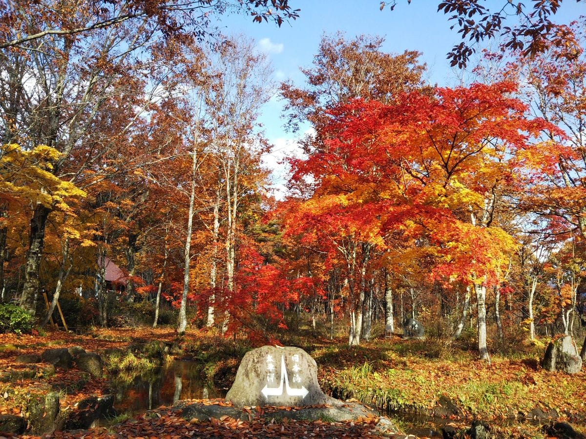 紅葉を求めて