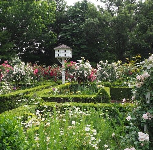 アンディ＆ウィリアムス・ボタニックガーデンの閉園