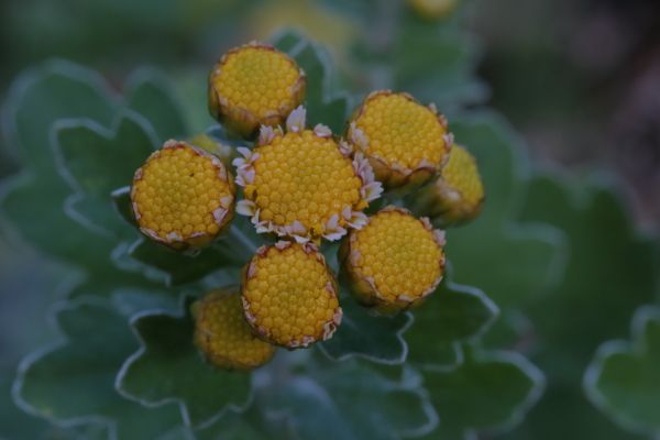 交雑した模様