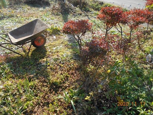 家庭菜園の「一輪車」タイヤ交換！