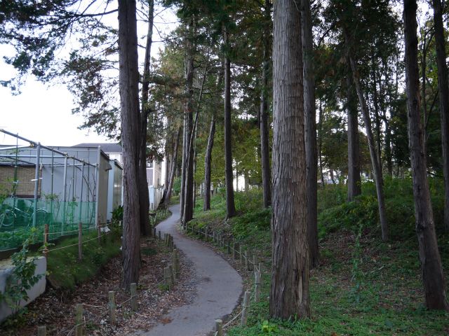 良い天気の日曜日は最高