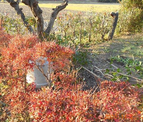 もう、ひと踏ん張り！