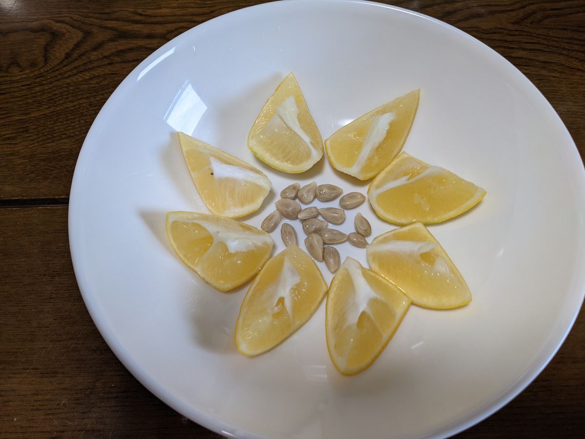 😤傷つけずに🍋タネの取り出しに成功