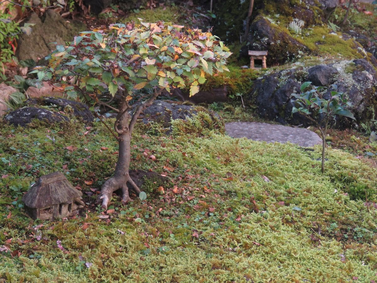 ～どこかなつかしい心の風景～