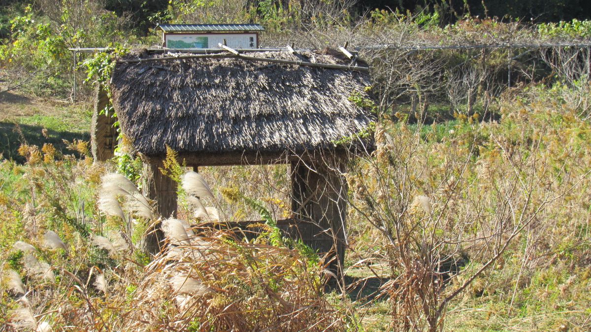 時代劇に出てきそうな東屋