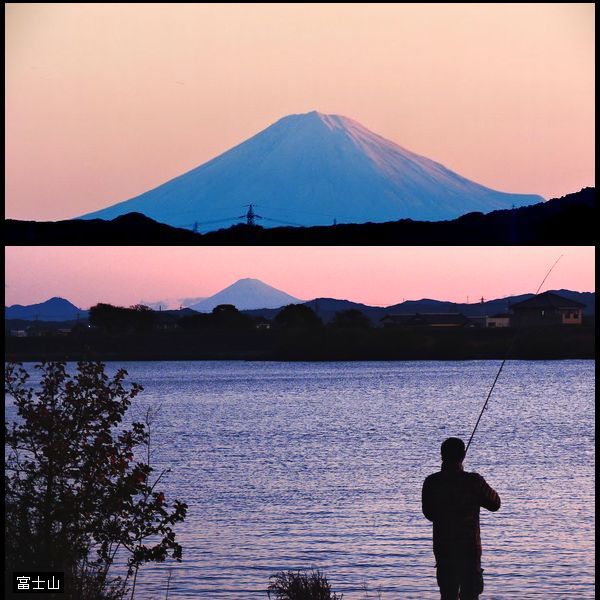 淡い朝焼けの中の富士山。ウォーキングMS⑧324日目(2849日目)