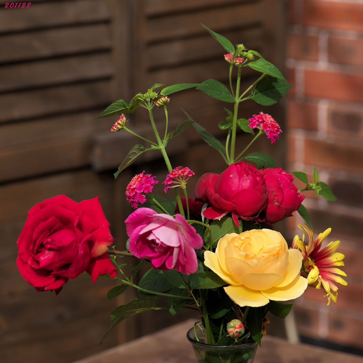 今日の我が家の花壇から