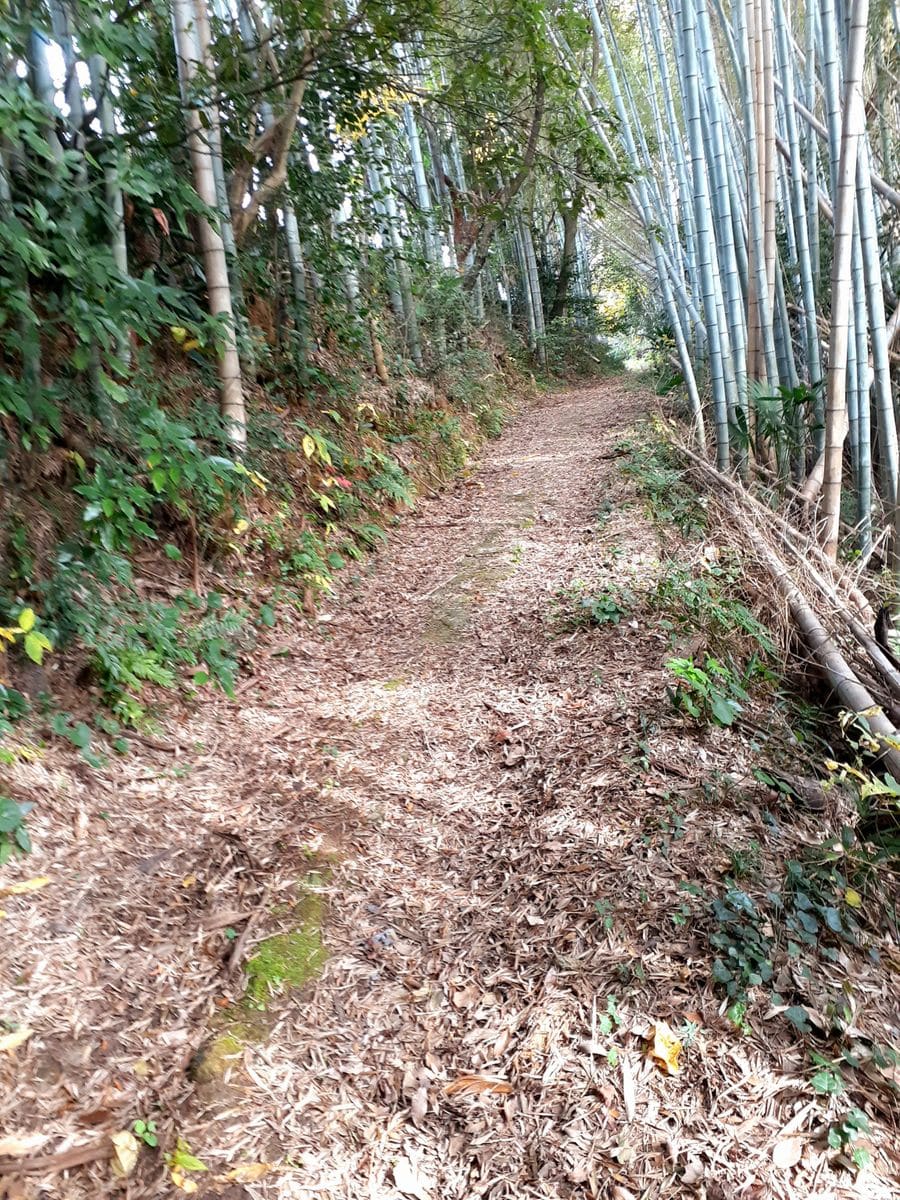 田舎を歩く