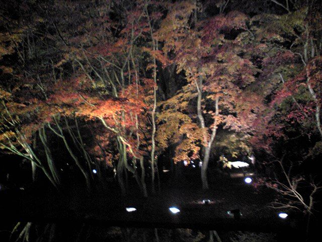 曽木公園の紅葉