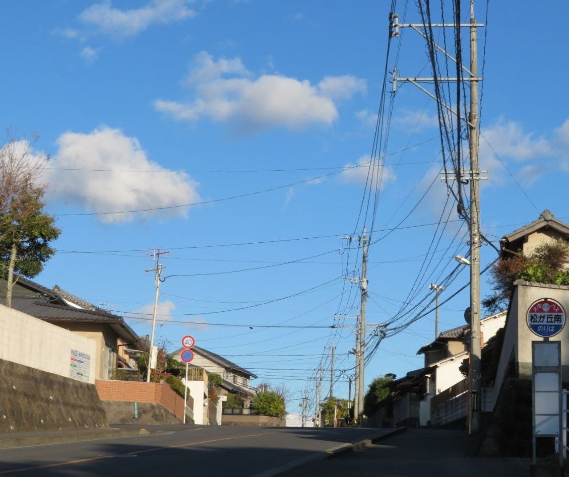 冬らしい寒い一日