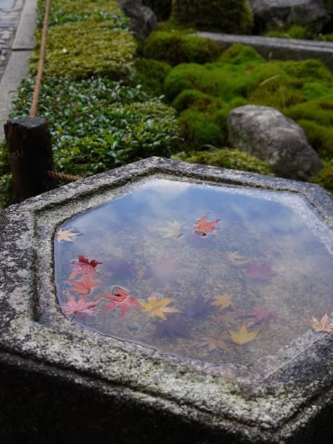 京の粋な秋(^^♪