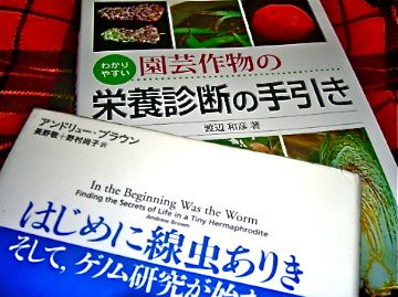 最寄りの図書館