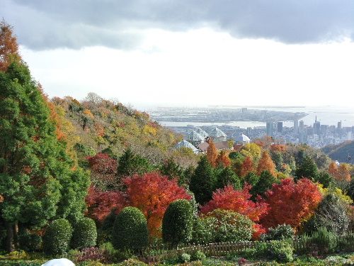 今日は『トミーと行く花散歩』でした。