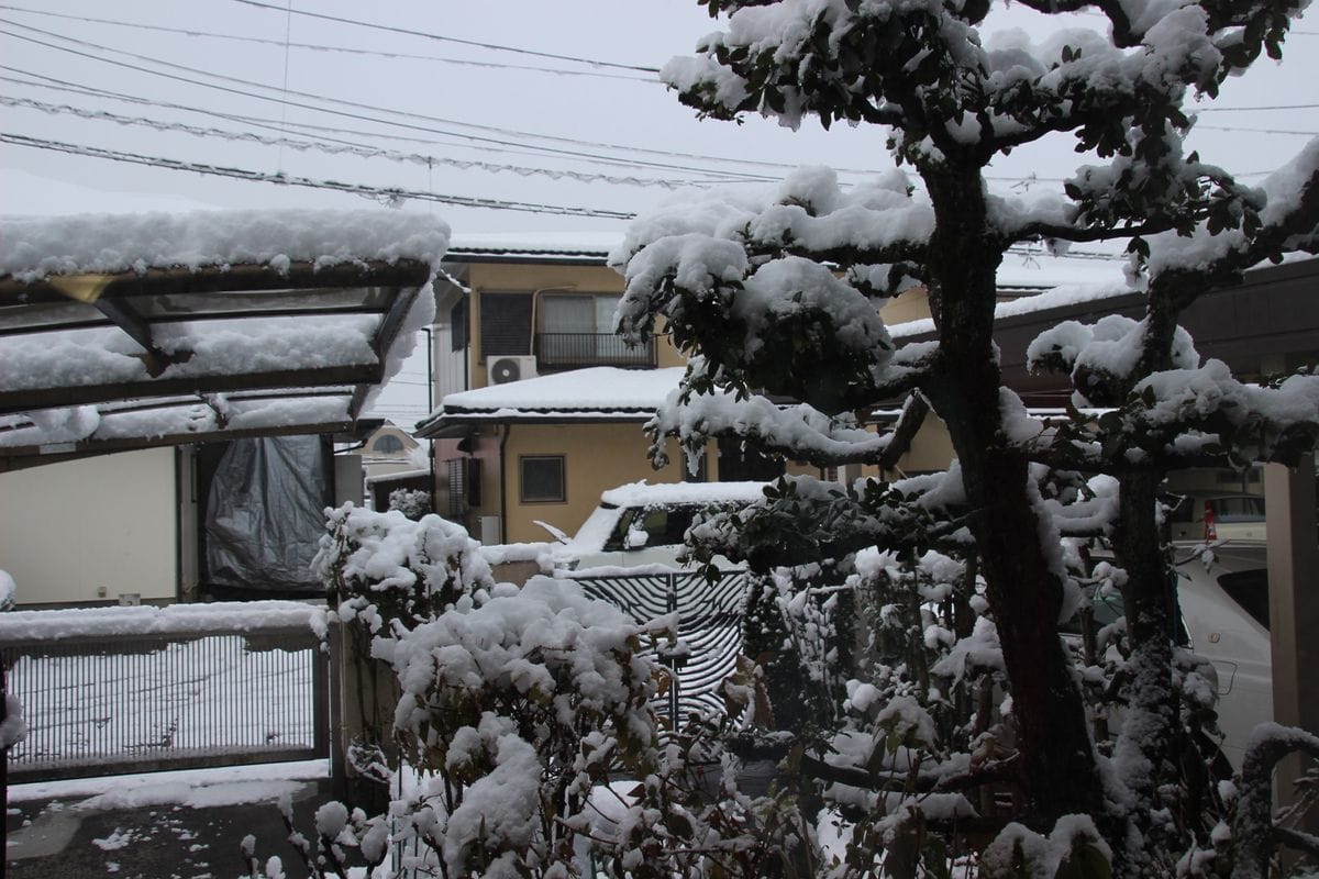 202１の元旦は積雪から始まりました⛄