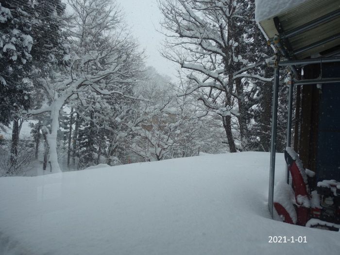 大雪の元旦