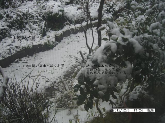 雪…昨年より２週間早く！！