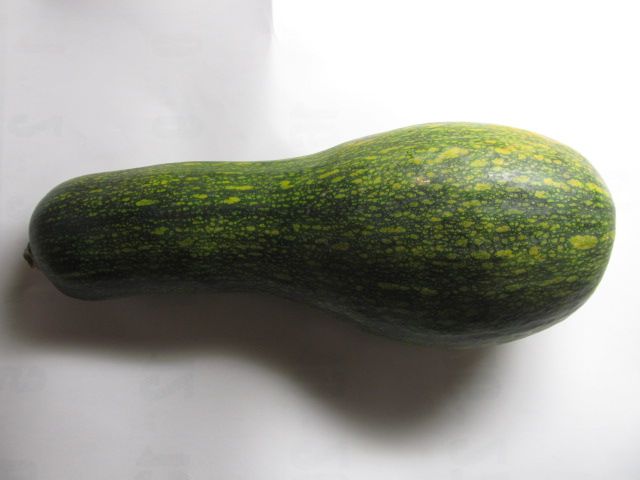 伝統野菜のおもしろさ