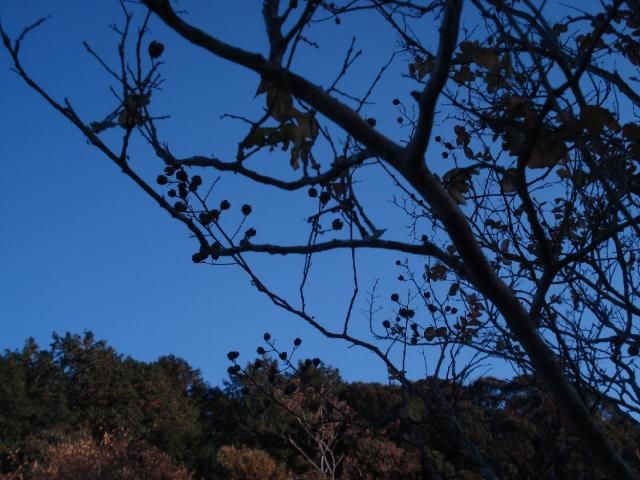 里山へ行く途中富士山が