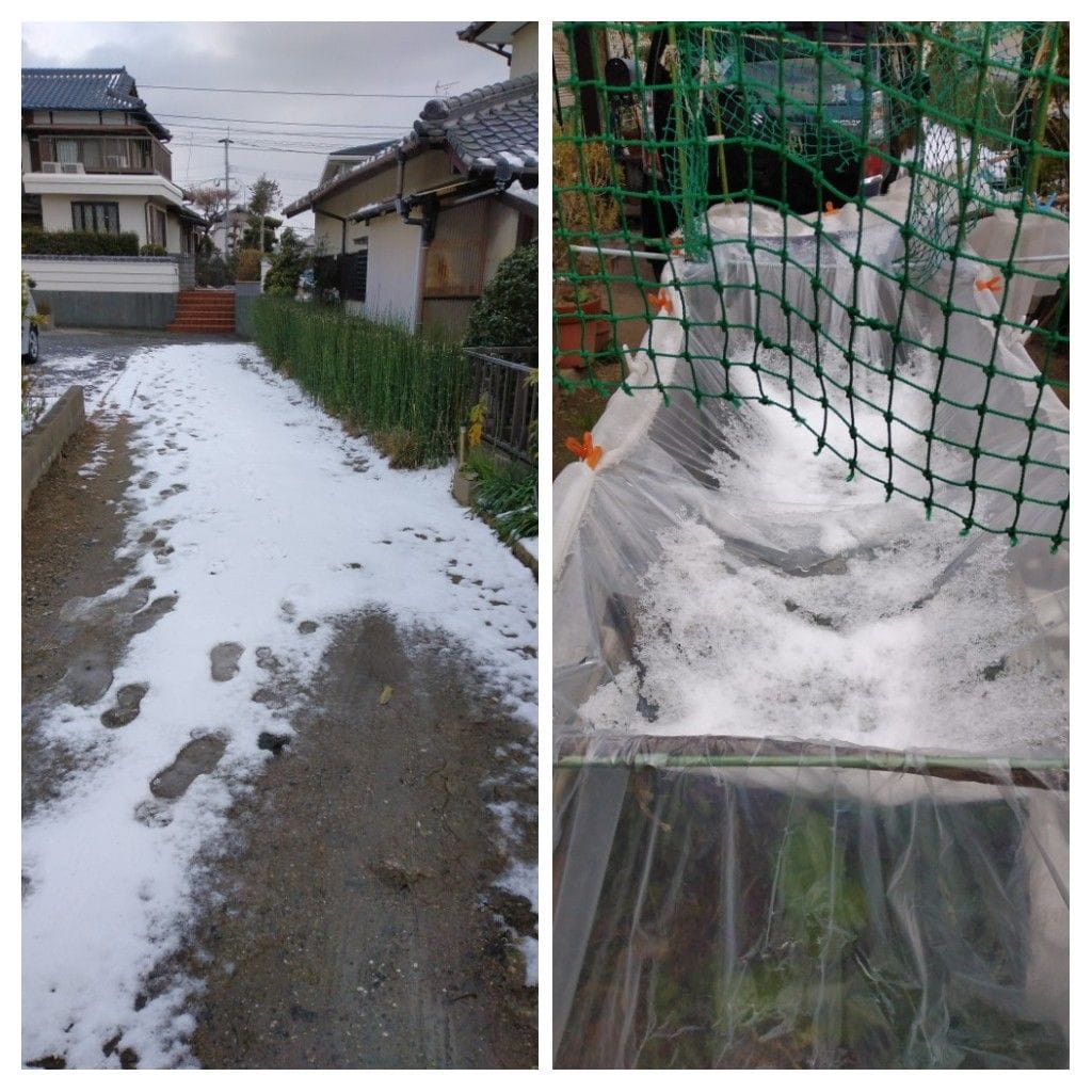 雪解け道！