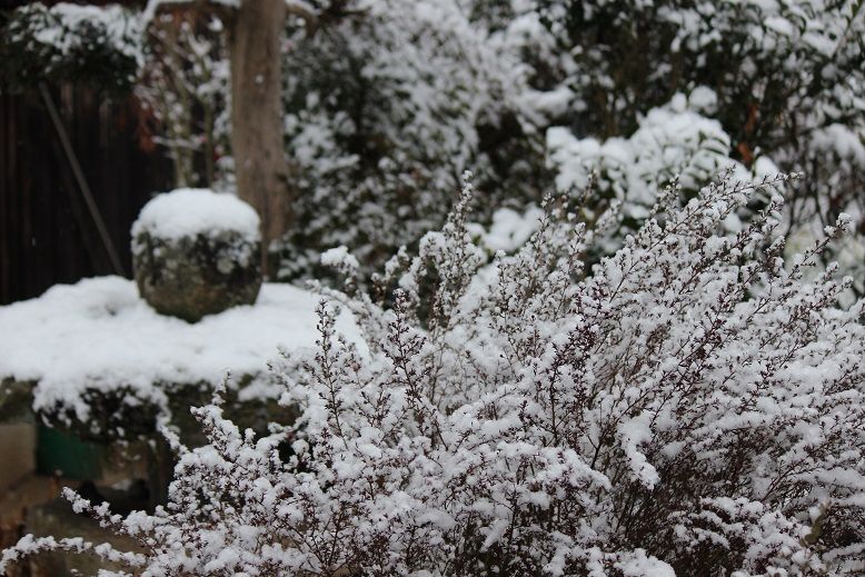 窓越しの雪景色2