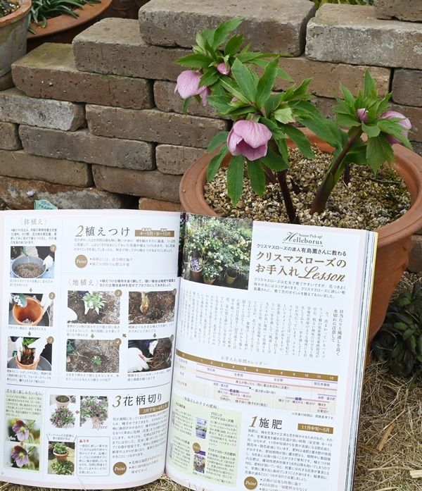 あすGarden＆Gardenが発売です。