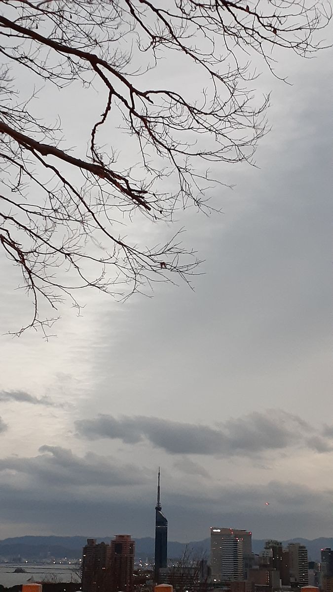 ふくおかルーバルガーデン3～冬❄️⛄❄️の***  庭便り～青い冬空にぽっかり綿雲☁️🌤️❗