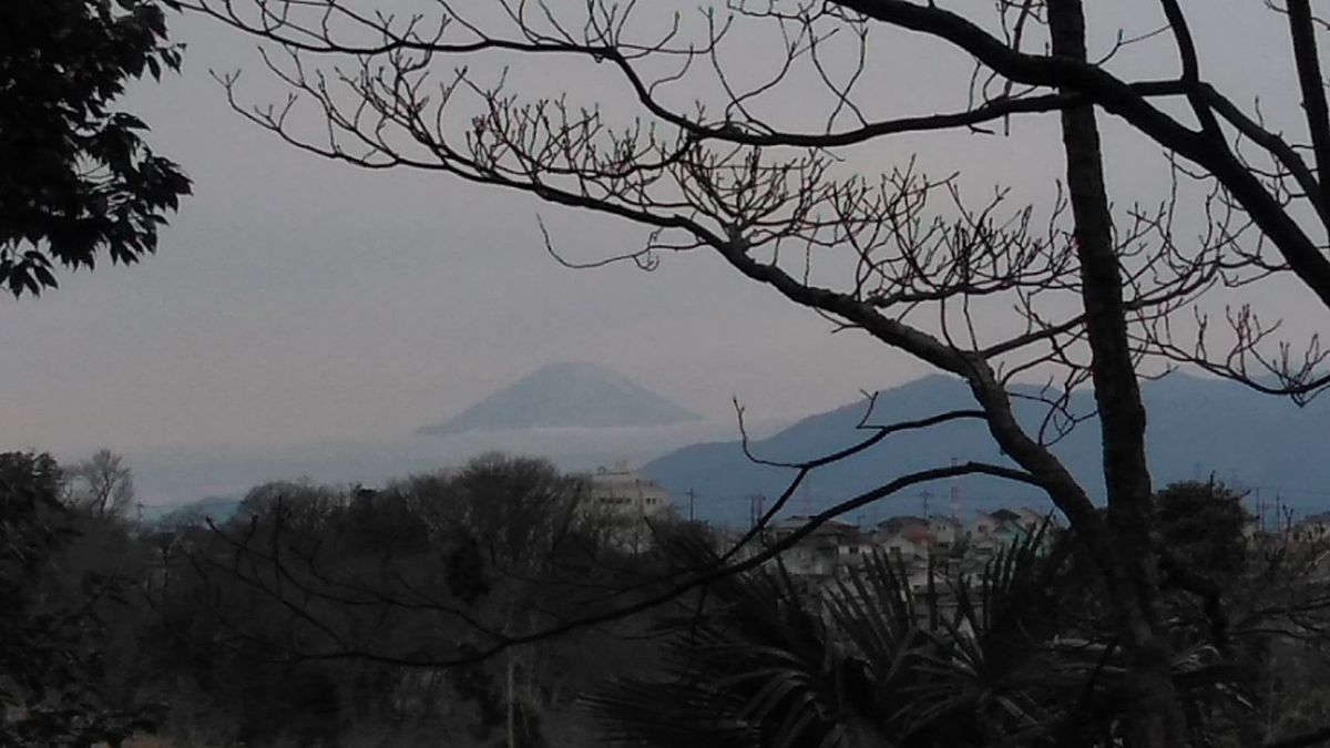 雲海に浮かぶ富士山