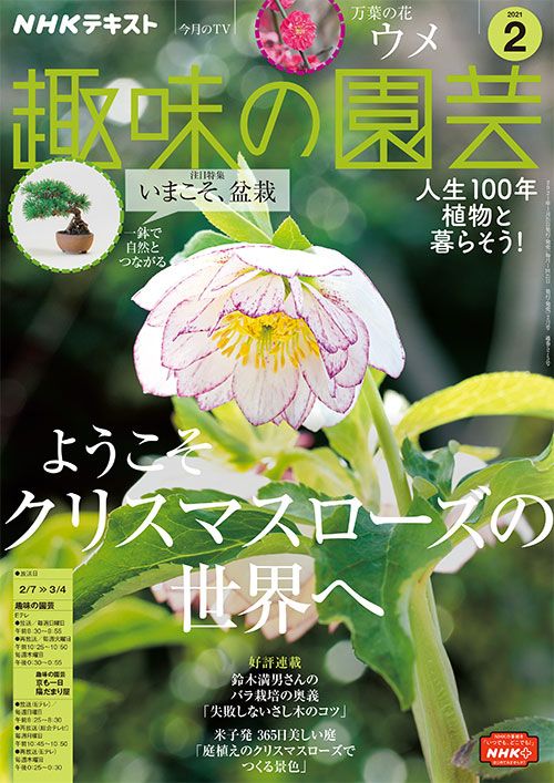 【テキスト掲載情報】『趣味の園芸』2月号に掲載されたメンバーを発表！