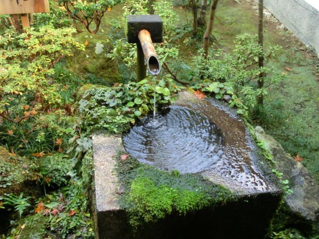 奈良・京都、紅葉を求めて。