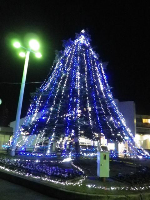 テリミトラの葉とクリスマスイルミネーション