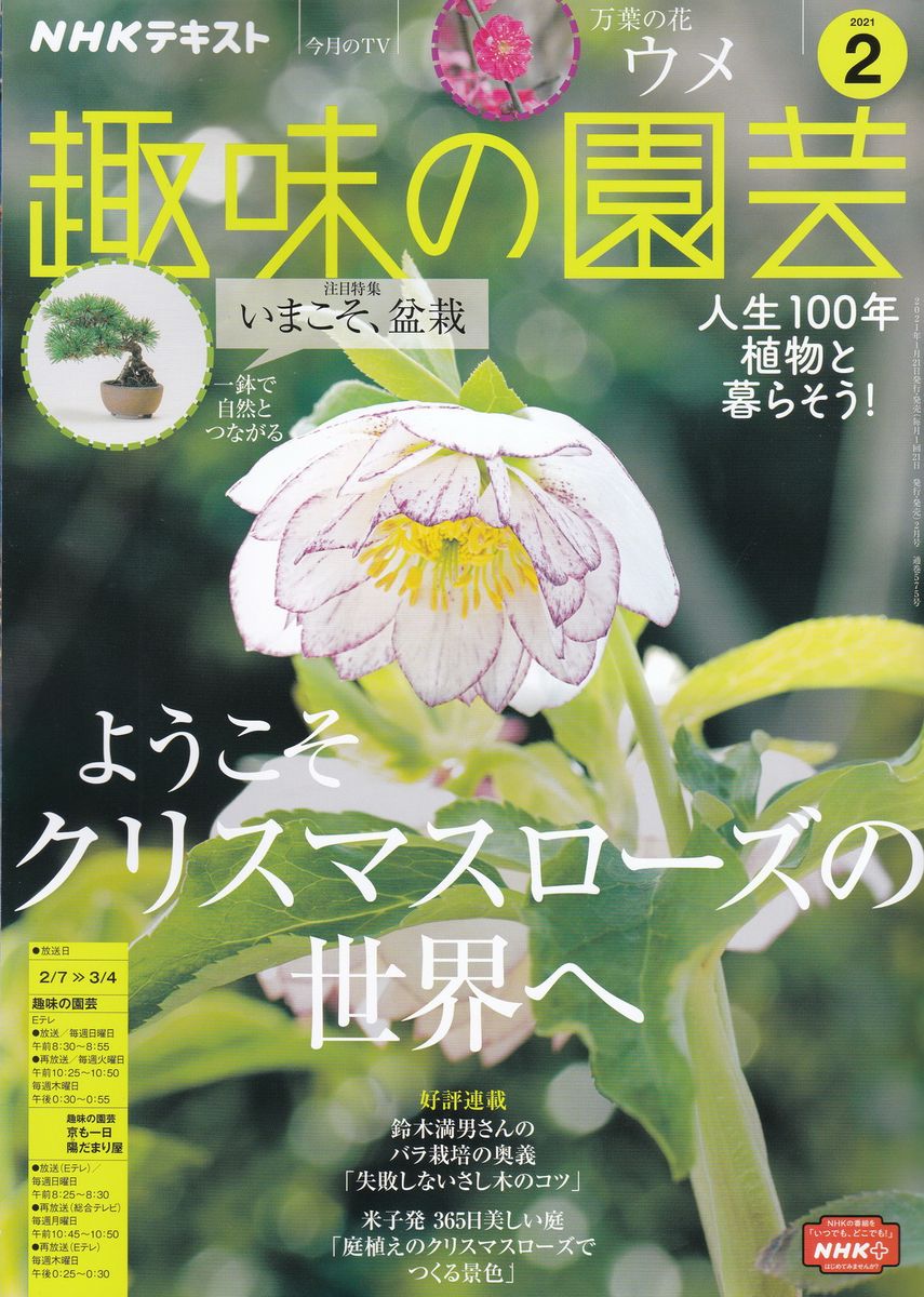 『趣味の園芸』2月号こぼれ話