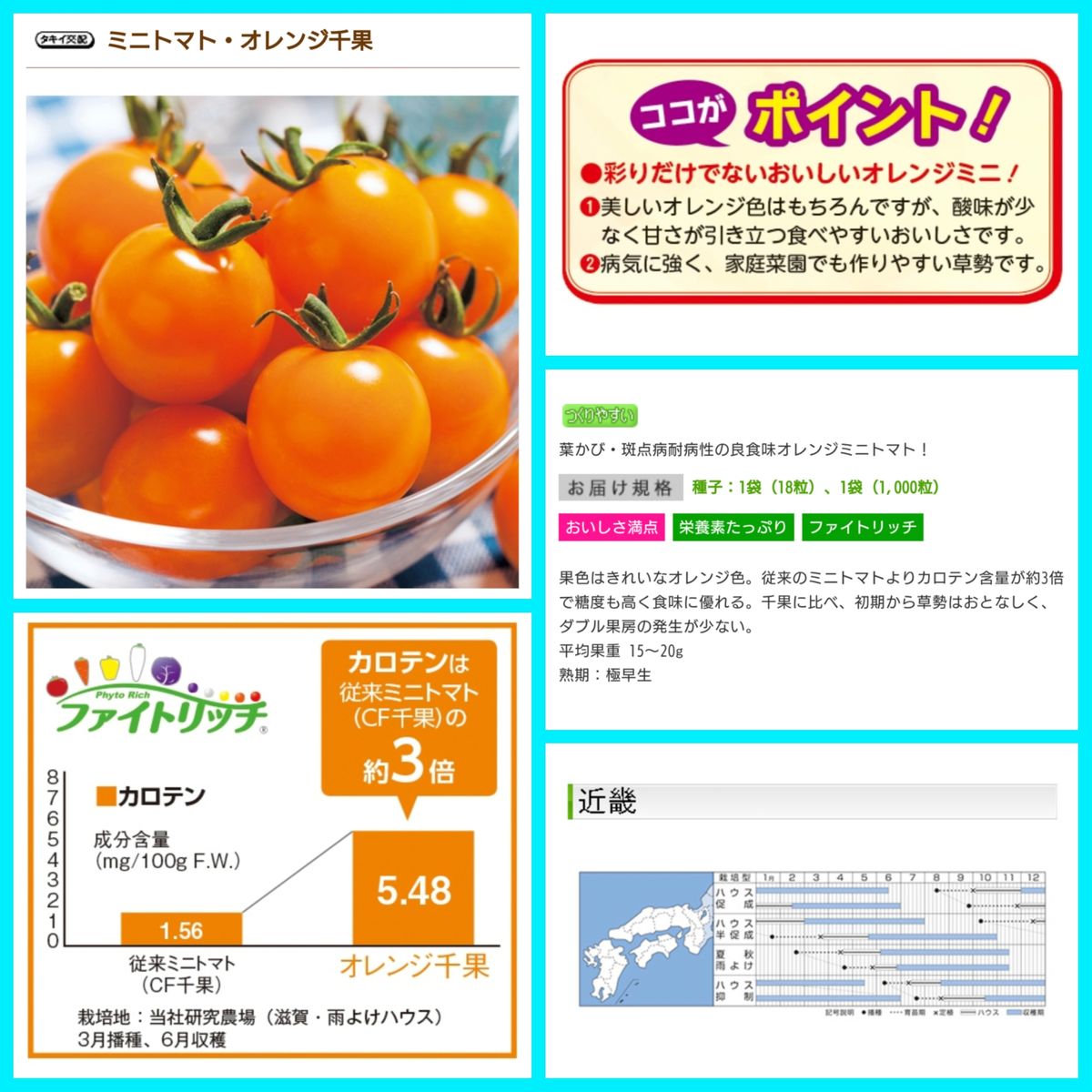 トマトの水耕栽培🍅0日目