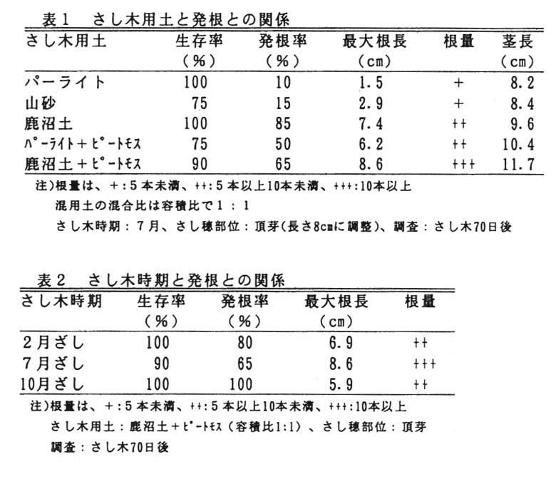 プロテア　個人メモ