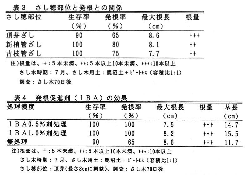 プロテア　個人メモ