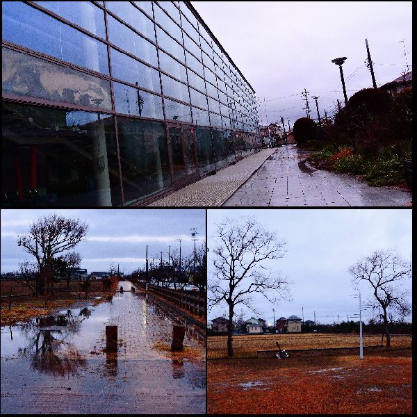 雨上がりの散歩道。ウォーキングMS⑧353日目(2908日目)