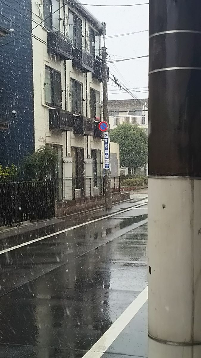 東京雪❄便り