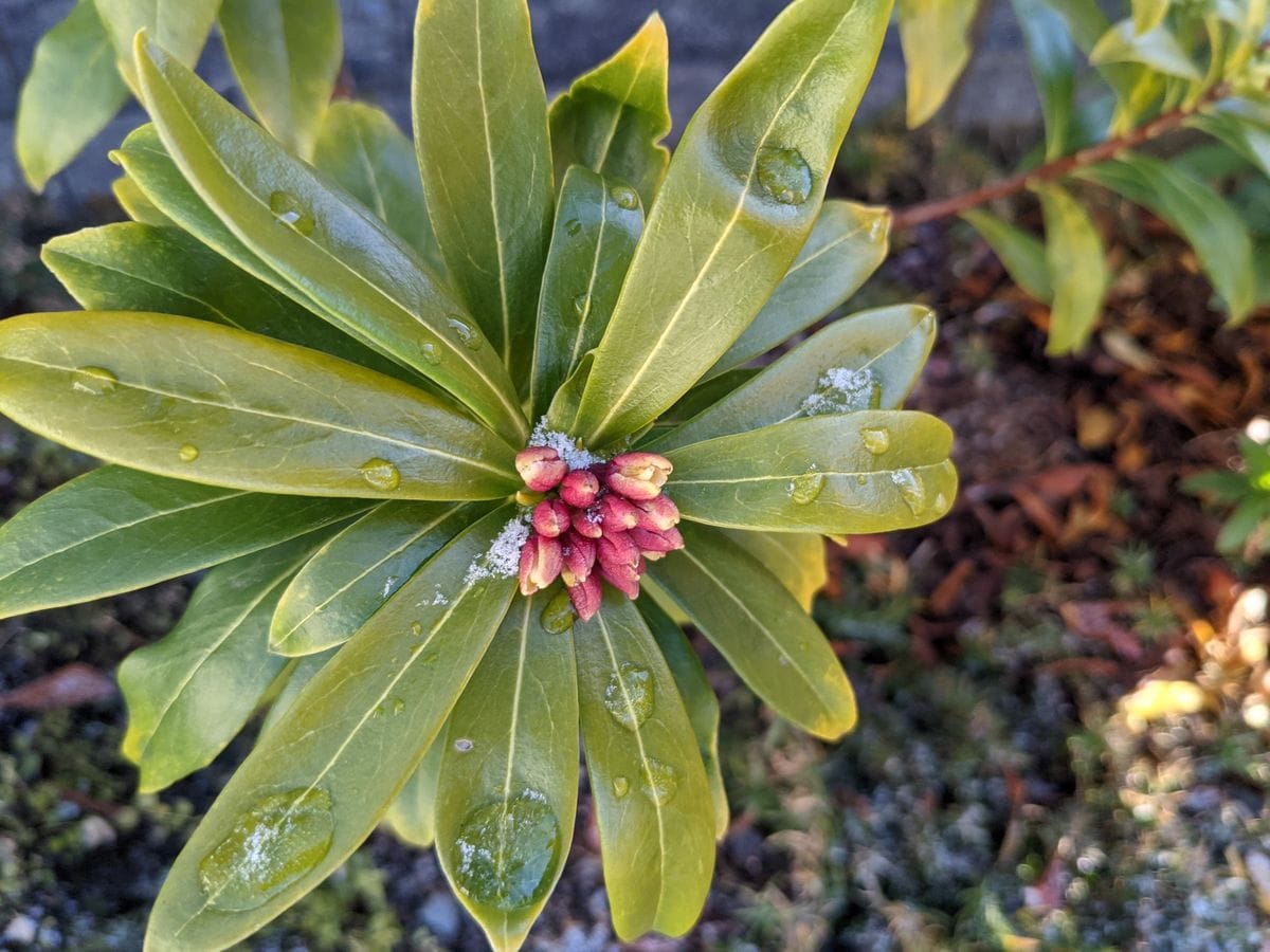 １月３０日（土)　一月