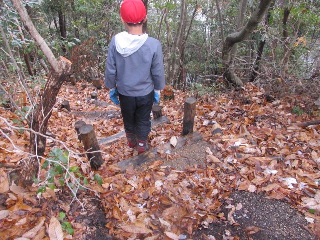 今日は気持ちの良い日でした。