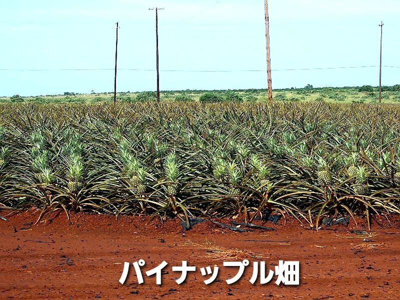 何処よりも気持ちが落ち着きます。