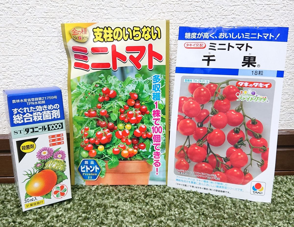 ミニトマト 再挑戦🍅✨