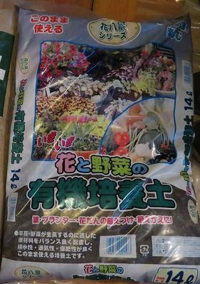 種蒔き用土に・・芝目土・・・