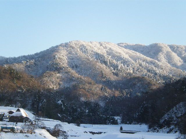 久しぶりの青空